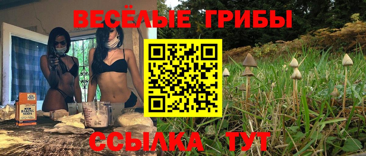 Псилоцибиновые грибы Magic Shrooms Пугачёв